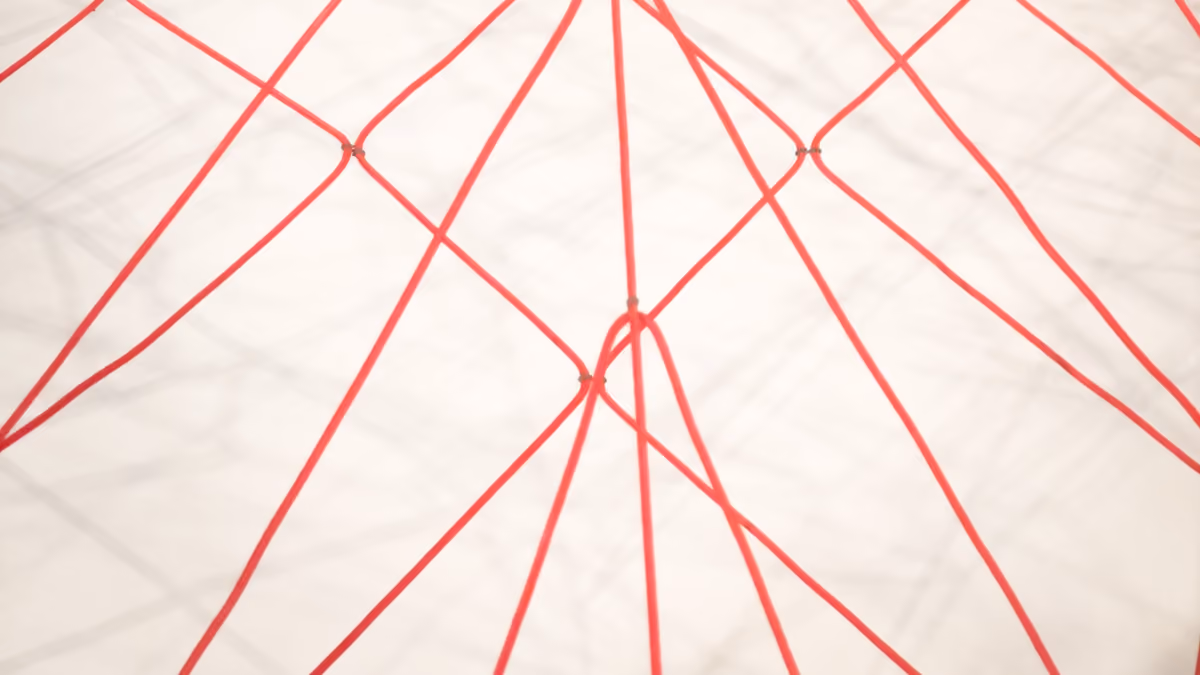 Close-up of red cords strung between anchor points, crossing to form a web-like net of straight lines