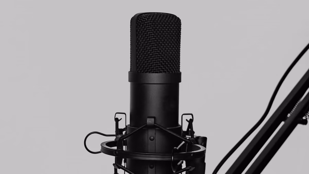 A studio microphone in a shock mount, photographed in black and white against a plain light grey background
